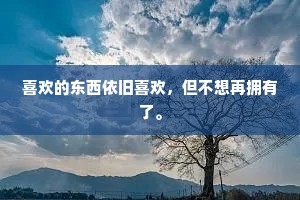 喜欢的东西依旧喜欢，但不想再拥有了。