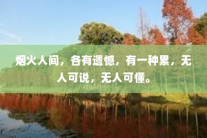 烟火人间，各有遗憾，有一种累，无人可说，无人可懂。