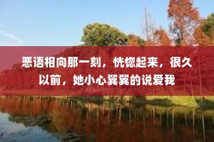 恶语相向那一刻，恍惚起来，很久以前，她小心翼翼的说爱我