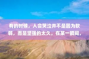 有的时候，人会哭泣并不是因为软弱，而是坚强的太久，在某一瞬间，突然的奔溃..