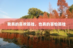 我真的喜欢孤独，也真的害怕孤独