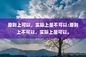 原则上可以，实际上是不可以:原则上不可以，实际上是可以。