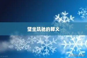 璧坐玑驰的释义