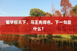 引言，中年孤影，肩扛世界的重量