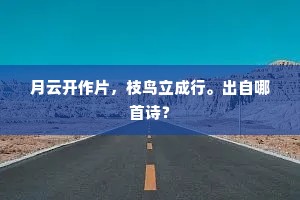 引言，虚荣之镜，映照内心的喧嚣