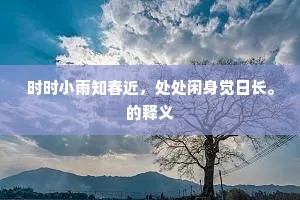 先生只此在山中，莫道云深不知处。的意思及出处