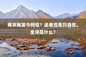 彷佛记、主家阴洞，不多尘迹。出自哪首诗？