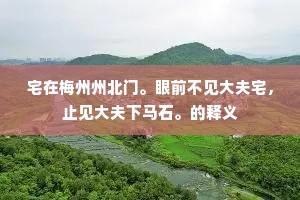 分付舍利光，待我重来晤。下一句是什么？