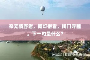 非清华非婚嫁，灵魂深处的选择与自由