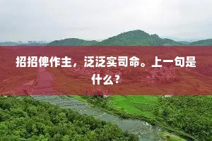 臣忝鸳班遥拜贺，佩声随步玉阶东。的意思及出处