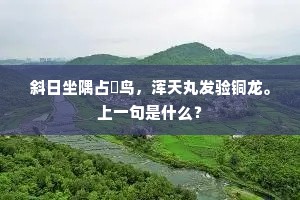 屏幕之隔，情深缘浅，沟通的温度与距离