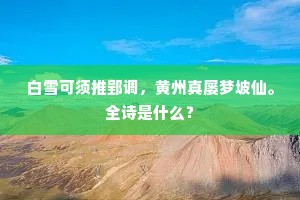 指尖轻触间，礼数重于泰山，手机照片里的尊重哲学