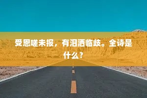 从回馈到共鸣，解读人间温情的双重奏