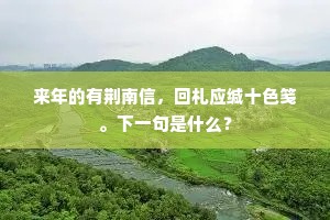 芳岁今如此，衰翁可奈何。下一句是什么？