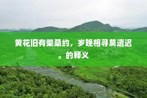 玩梅谁谓越山雪，采菊自多疏传金。的解释