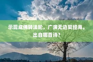 客来阙佳致，亲为摘山蔬。的解释