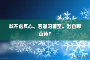 大船小船高揭篷，罾罩竞入洄流中。的解释