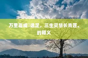 似是英雄骨，埋名向此山。的释义