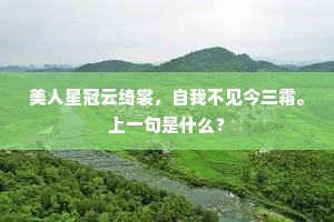 披霜坐待坚冰至，数蕊红梅带血开。的释义