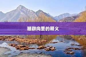 鞭辟向里的释义