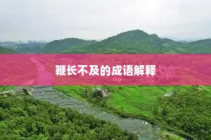 鞭长不及的成语解释
