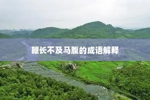 鞭长不及马腹的成语解释
