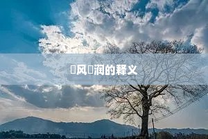 抃风儛润的释义