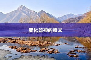 变化如神的释义