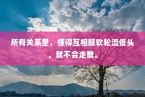 所有关系里，懂得互相服软轮流低头，就不会走散。