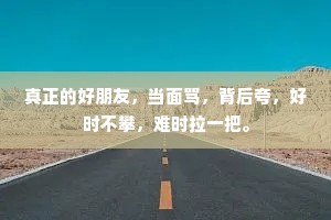 真正的好朋友，当面骂，背后夸，好时不攀，难时拉一把。