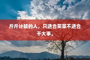 斤斤计较的人，只适合买菜不适合干大事。