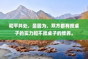 和平共处，是因为，双方都有掀桌子的实力和不掀桌子的修养。