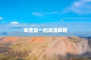 表里如一的成语解释