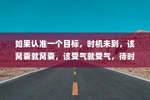 如果认准一个目标，时机未到，该窝囊就窝囊，该受气就受气，待时机成熟，出手要狠，善后要稳。