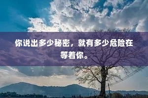你说出多少秘密，就有多少危险在等着你。