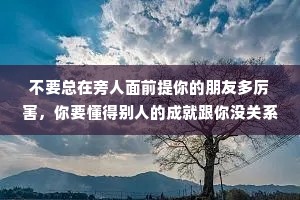 不要总在旁人面前提你的朋友多厉害，你要懂得别人的成就跟你没关系。