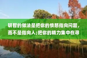 明智的做法是把你的愤怒指向问题，而不是指向人;把你的精力集中在寻求解决方案上，而不是集中在寻找借口上。