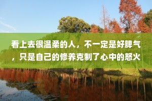 看上去很温柔的人，不一定是好脾气，只是自己的修养克制了心中的怒火，请不要去触及他的底线。