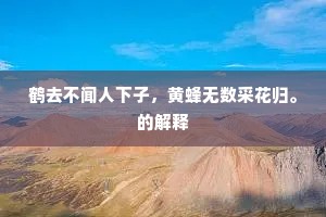 人心弦动，慎撩拨，情深缘浅莫强求