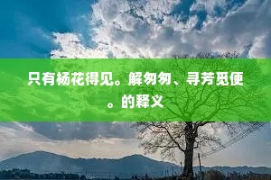 引言，独行与共融的交响