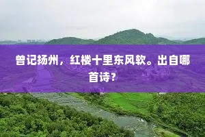 尽大地兮无瑕，如寸心兮不涅。上一句是什么？