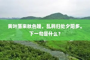 绍兴元勋如日悬,承家有人光后先。下一句是什么? 绍兴元勋如日悬,承家有人光后先。下一句是什么?