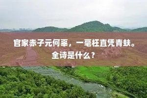 引言,速食情感的幻象 引言,速食情感的幻象