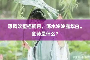 引言，近观人生的微光与暗影