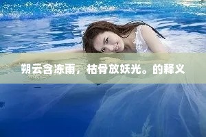 引言，伤痛之镜，映照灵魂深处的共鸣