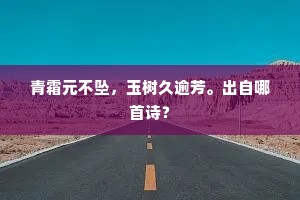 崧岳降神宰此间，仁心仁闻播乡关。的释义
