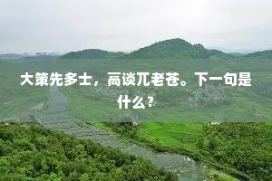 此情谁解。叹萍踪、我亦漂流,未了江山债。上一句是什么? 此情谁解。叹萍踪、我亦漂流,未了江山债。上一句是什么?