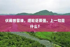 雕虫薄技的释义 雕虫薄技的释义