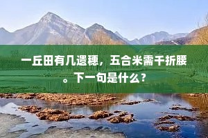 白鹅满波间，谁识腕中意。下一句是什么？