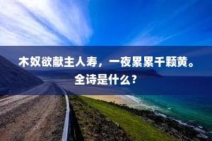 共说山林话，休嗟两鬓星。的意思及出处